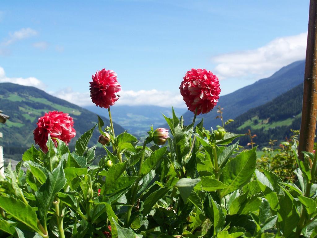 Bauernhof Oberscheffau Villa Neukirchen am Großvenediger Kültér fotó